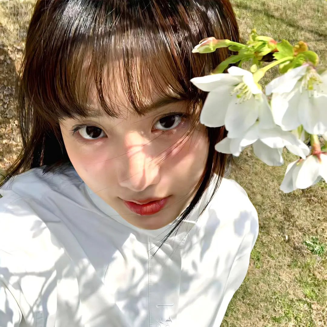 金鹰宝藏